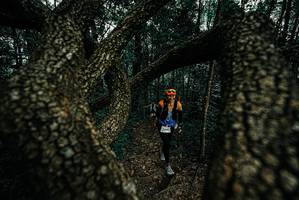 BIB: 
                            <button type="button" onclick="openModal(25691631)" class="btn btn-primary btn-sm float-right btn-popup" data-toggle="modal" data-target=".modal-high-quality">
                        <i class="fas fa-shopping-cart"></i> Add to Cart
                    </button>
                                            <button type="button" onclick="isThisMe(25691631, true)" class="btn btn-success btn-sm float-right btn-popup btn-isme hidden" data-toggle="tooltip" data-placement="bottom" title="นี่คือรูปของคุณใช่ไหม คลิกที่นี่เพื่อเอาเข้าอัลบั้ม">
                        <i class="fas fa-plus"></i> Add to album
                    </button>
                    <button type="button" onclick="isThisMe(25691631, false)" class="btn btn-warning btn-sm float-right btn-popup btn-isnotme hidden">
                        <i class="fas fa-ban"></i> Remove from album
                    </button>